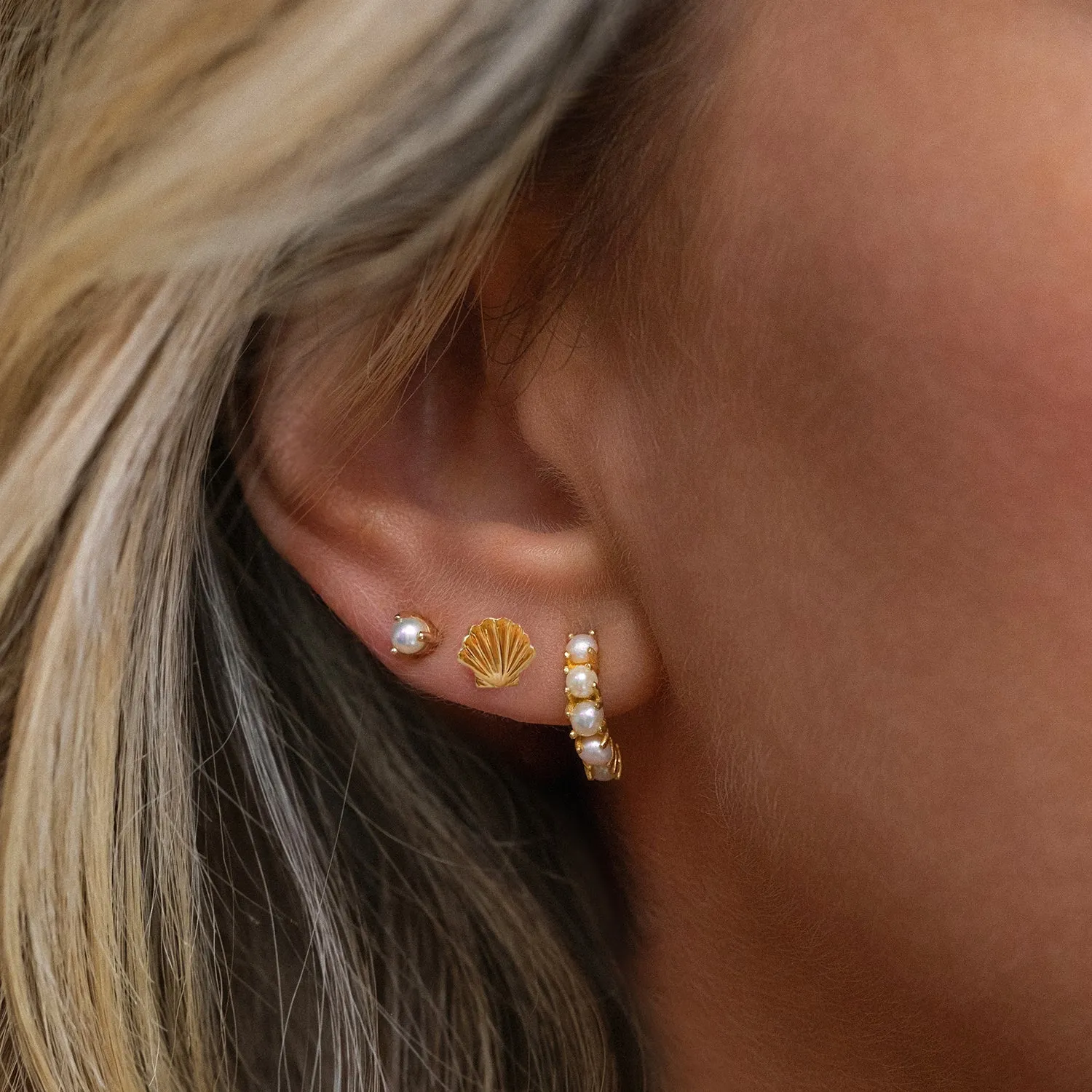 Coquille Studs | Goldfill