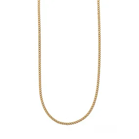 Fine Curb Chain Necklace - Gold