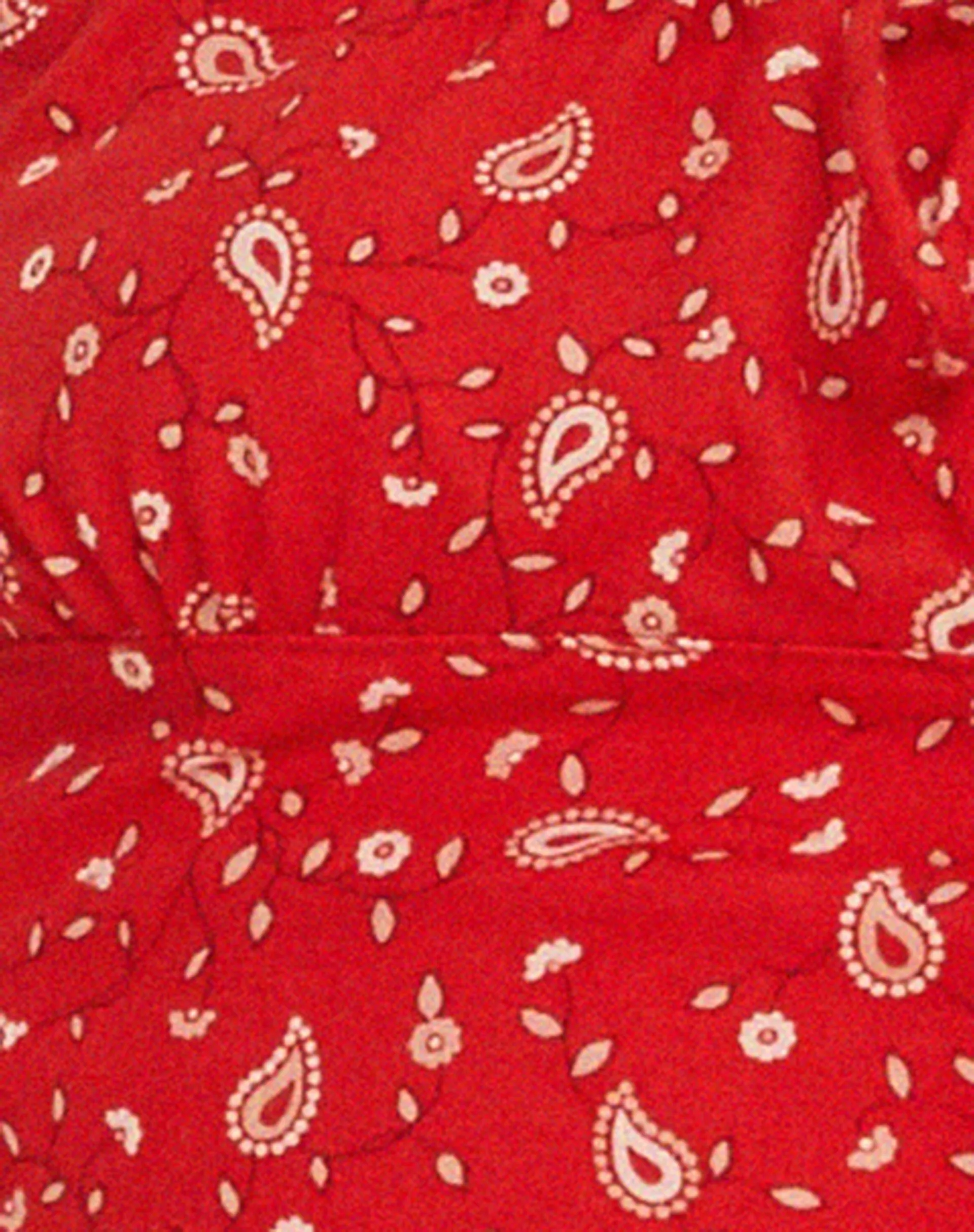 Hema Crop Top in Paisley Fun Red