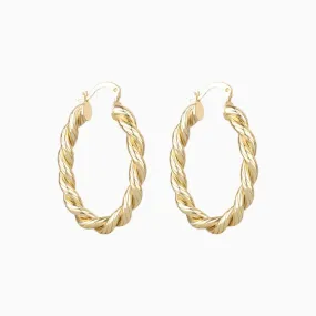 Oval Twist Hoops