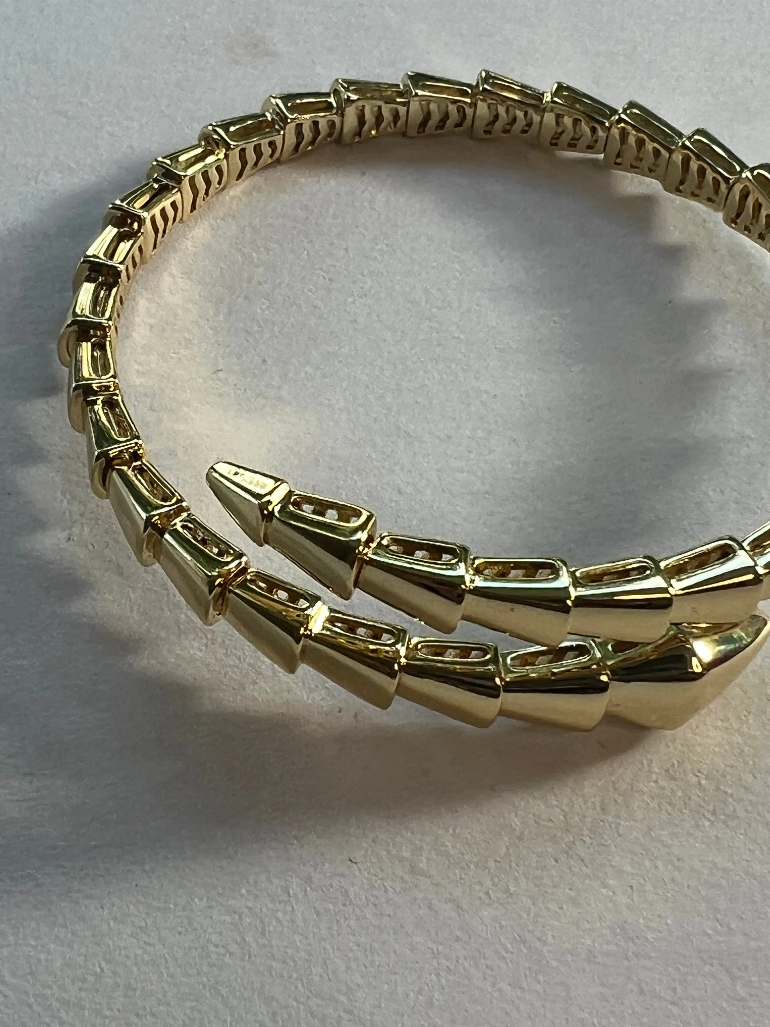 Serpent Bracelet Gary New!